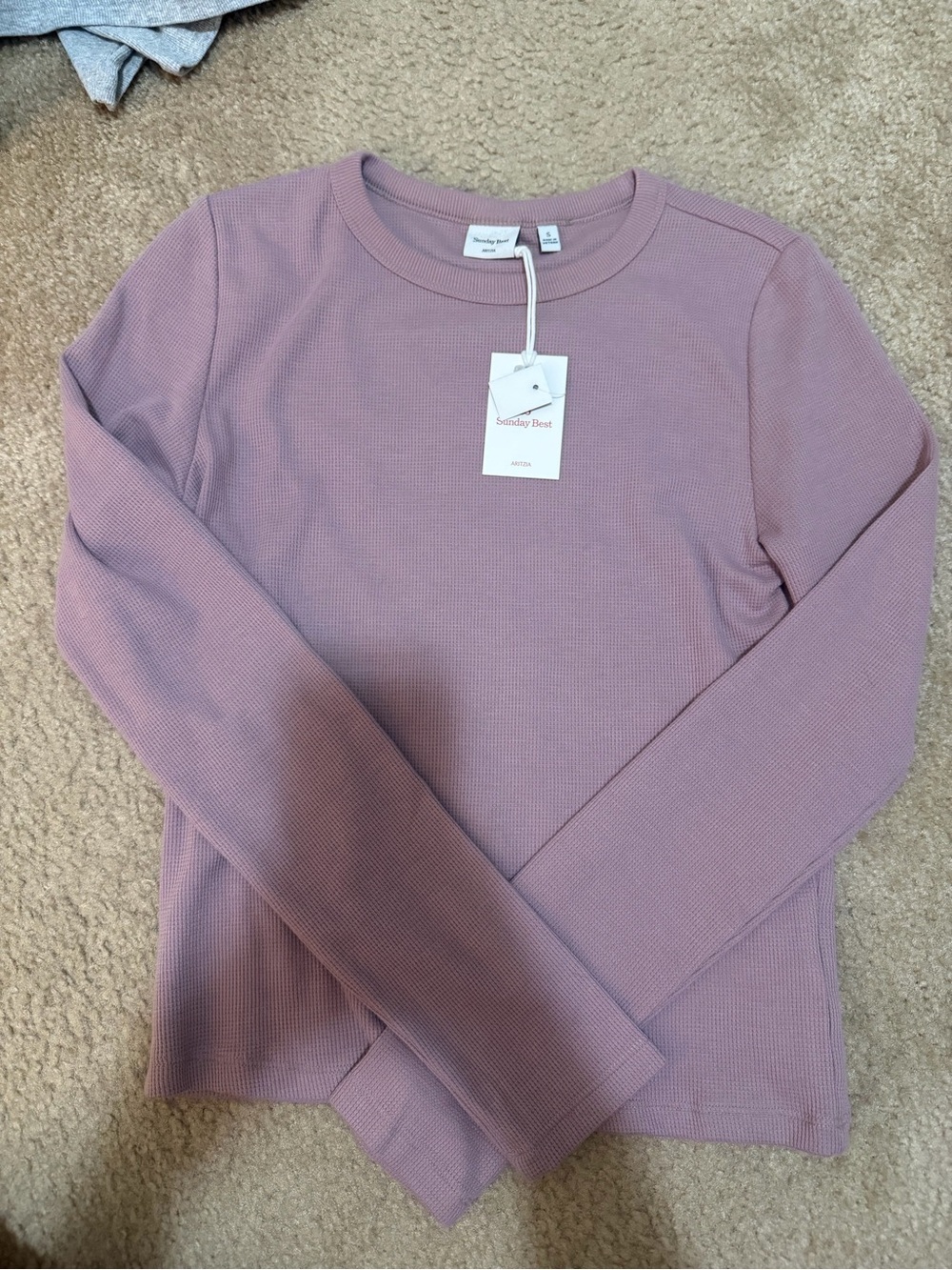 Aritzia Sunday best geller tee